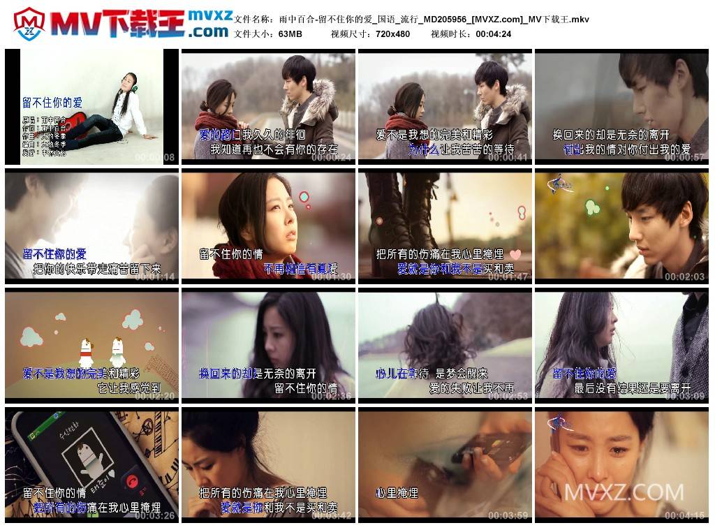 雨中百合-留不住你的爱_国语_流行_MD205956